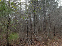 0 Mcgarity Road, Temple, GA 30179 