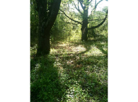 5226 Woodstock Road, Acworth, GA 30102 