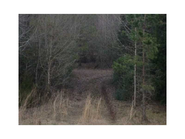 2568 Mountain Home Road, Cedartown, GA 30125 