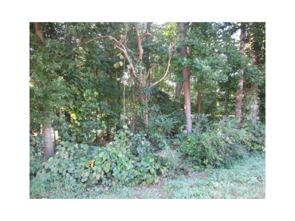 2060 Rockdale Circle, Snellville, GA 30078 