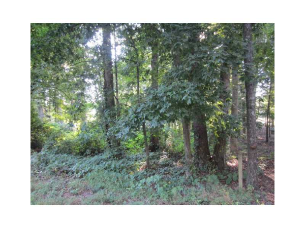 2062 Rockdale Circle, Snellville, GA 30078 