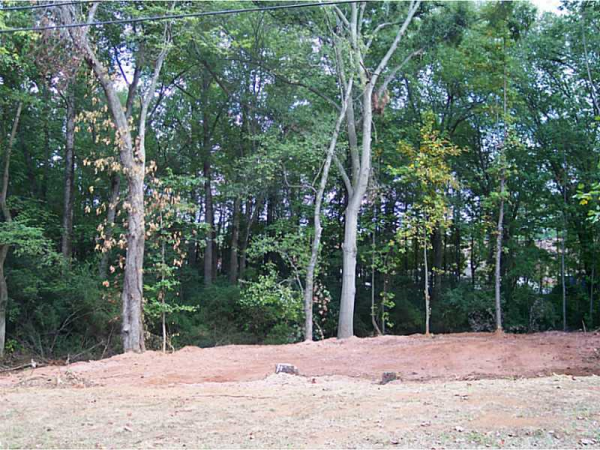 1528 Kings Road, Marietta, GA 30066 