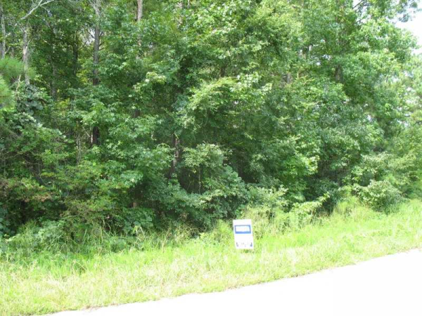 0 Williams Road, Dallas, GA 30132 