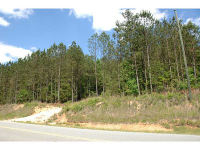 100 N Hwy 100 North Highway N, Summerville, GA 30747 