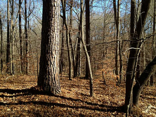 118 Virginia Ridge, Dallas, GA 30132 