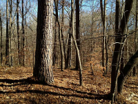 118 Virginia Ridge, Dallas, GA 30132 