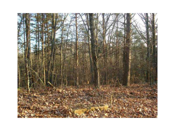 0 Cascade Drive, Jasper, GA 30143 