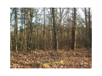 0 Cascade Drive, Jasper, GA 30143 