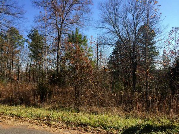 12 Perkins Mountain Road, Adairsville, GA 30103 