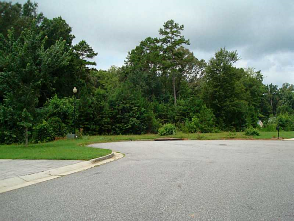 0 E Laura Lane W, Commerce, GA 30529 