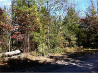 0 Corner Of Hwy 124 And Blackmon Road, Snellville, GA 30039 