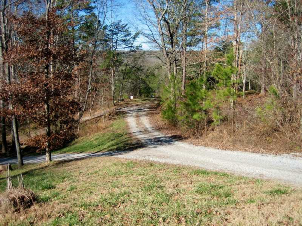 0 Bishop Road, Ball Ground, GA 30107 