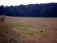 1515 Colonial Drive, Good Hope, GA 30641 