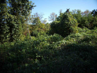 0 Hardman Drive, Braswell, GA 30153 