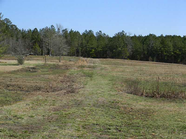 0 Ga Hwy 225 Highway, Chatsworth, GA 30705 