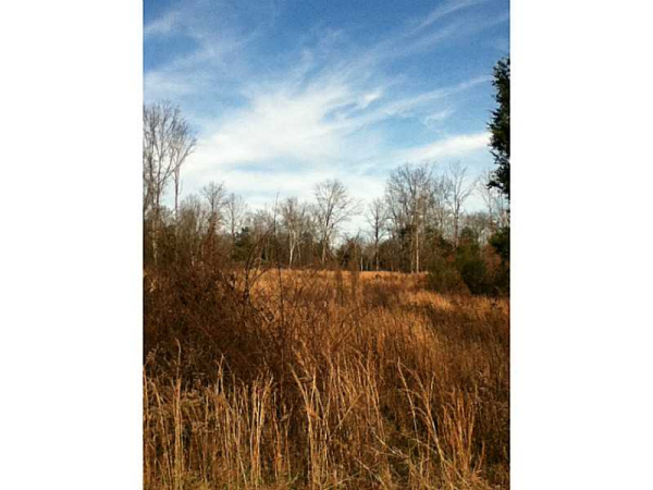 0 Renee Road, Pendergrass, GA 30567 