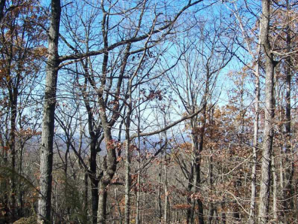 0 Sharp Mountain Parkway, Jasper, GA 30143 