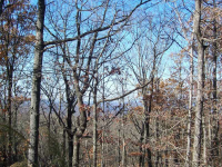 0 Sharp Mountain Parkway, Jasper, GA 30143 