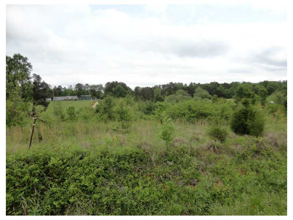 0 Ridgeway Road, Maysville, GA 30558 