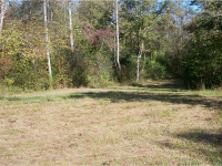 7 Chestatee River Estates, Dahlonega, GA 30533 