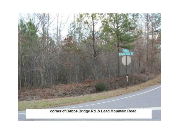 0 Dabbs Bridge Road, Acworth, GA 30101 