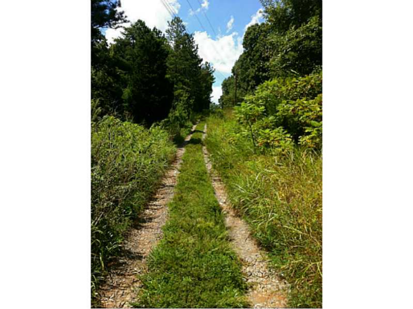 44 Corson Trail, Taylorsville, GA 30178 