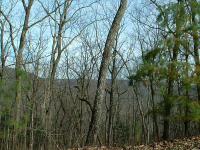 0 Bull Gap Road, Jasper, GA 30143 