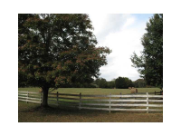 245 Morton Farm Lane, Athens, GA 30605 