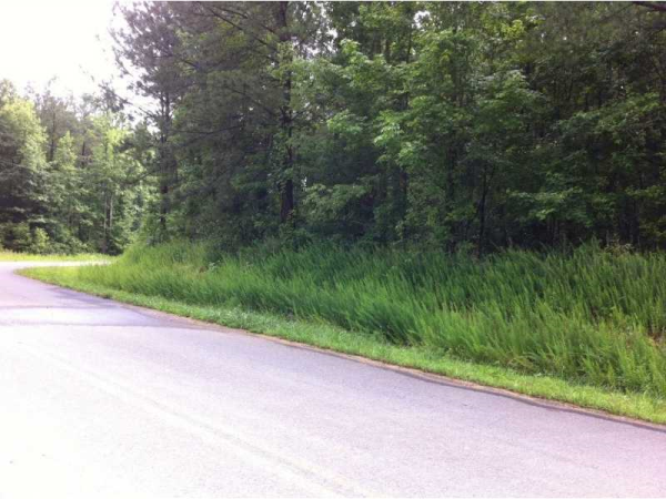 0 Pleasant Valley Church Road, Calhoun, GA 30701 