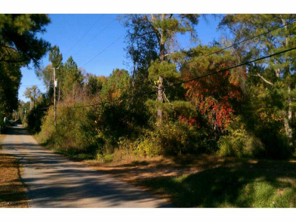 437 Meriwether Street, Grantville, GA 30220 