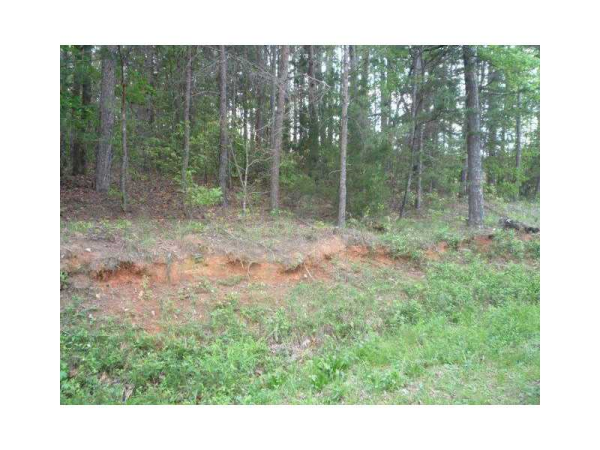 15 Brewer Road, Lula, GA 30554 