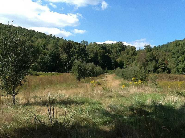 8100 Alabama Highway Nw, Rome, GA 30165 