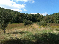 8100 Alabama Highway Nw, Rome, GA 30165 