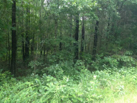 0 Dye Road, Rockmart, GA 30153 