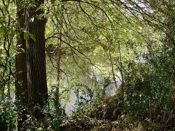 3 Allison Lane, Ball Ground, GA 30107 