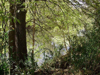 3 Allison Lane, Ball Ground, GA 30107 