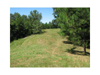 1150 Azalea Ridge, Dahlonega, GA 30533 