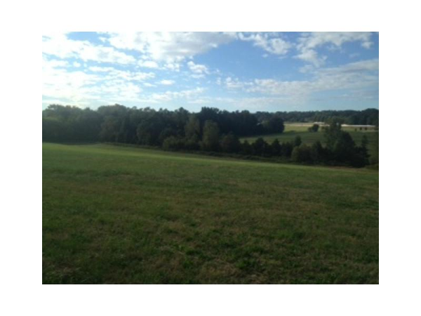 3041 Ac Dabbs Bridge Road, Dallas, GA 30132 