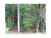 2260 Mount Vernon Road, Lithia Springs, GA 30122 