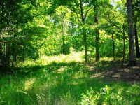 1306 Sweetwater Juno Road, Dawsonville, GA 30534 