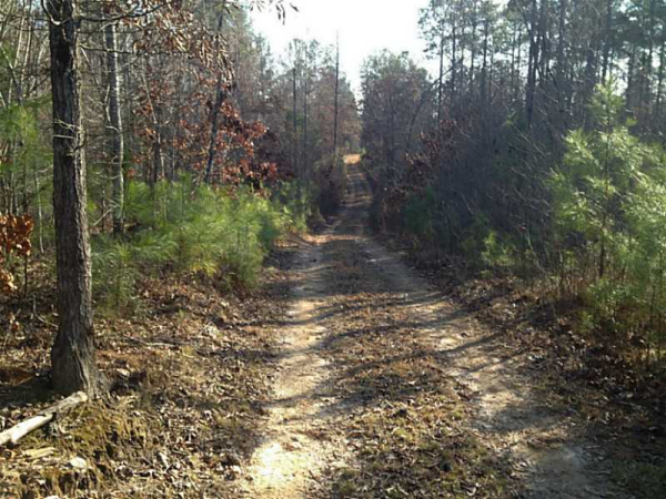 1 Pleasant Hill Road, Rockmart, GA 30153 