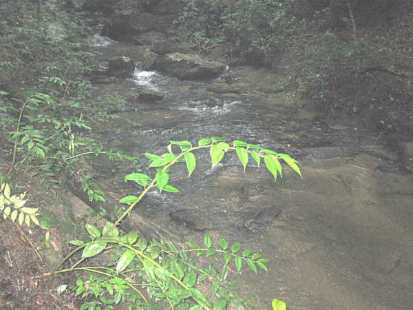 0 Stancil Dyer Road, Dahlonega, GA 30533 