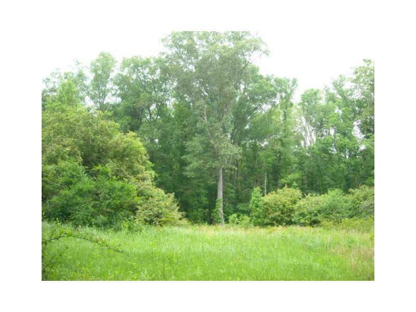 0 Knight Bottom Road, Fairmount, GA 30139 