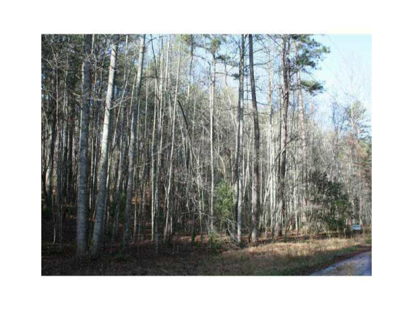 0 Etowah Cove Road, Dahlonega, GA 30533 