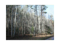 0 Etowah Cove Road, Dahlonega, GA 30533 