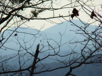 0 Highway 1960 North Road, Dahlonega, GA 30533 