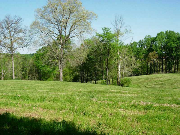 0 Casey Road, Lavonia, GA 30553 