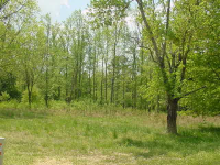 0 Holloman Road, Powder Springs, GA 30127 