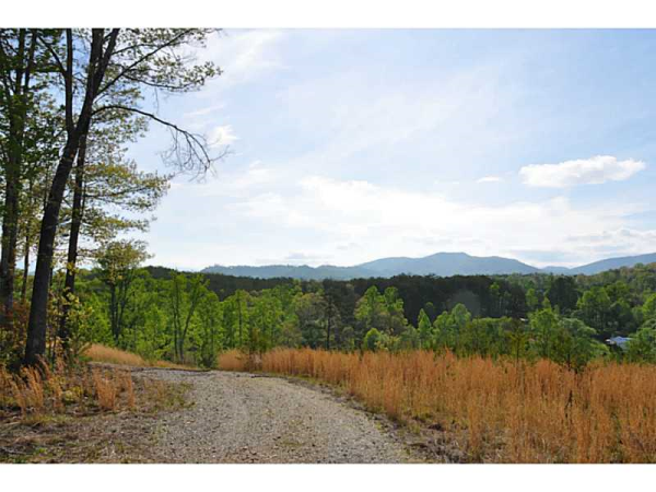 7509 King Cove Road, Young Harris, GA 30582 