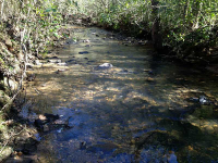 4 Soap Creek Road, Ball Ground, GA 30107 